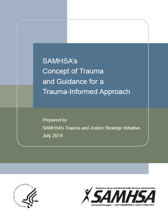 Samhsa Systems Of Care Principles And Diagrams